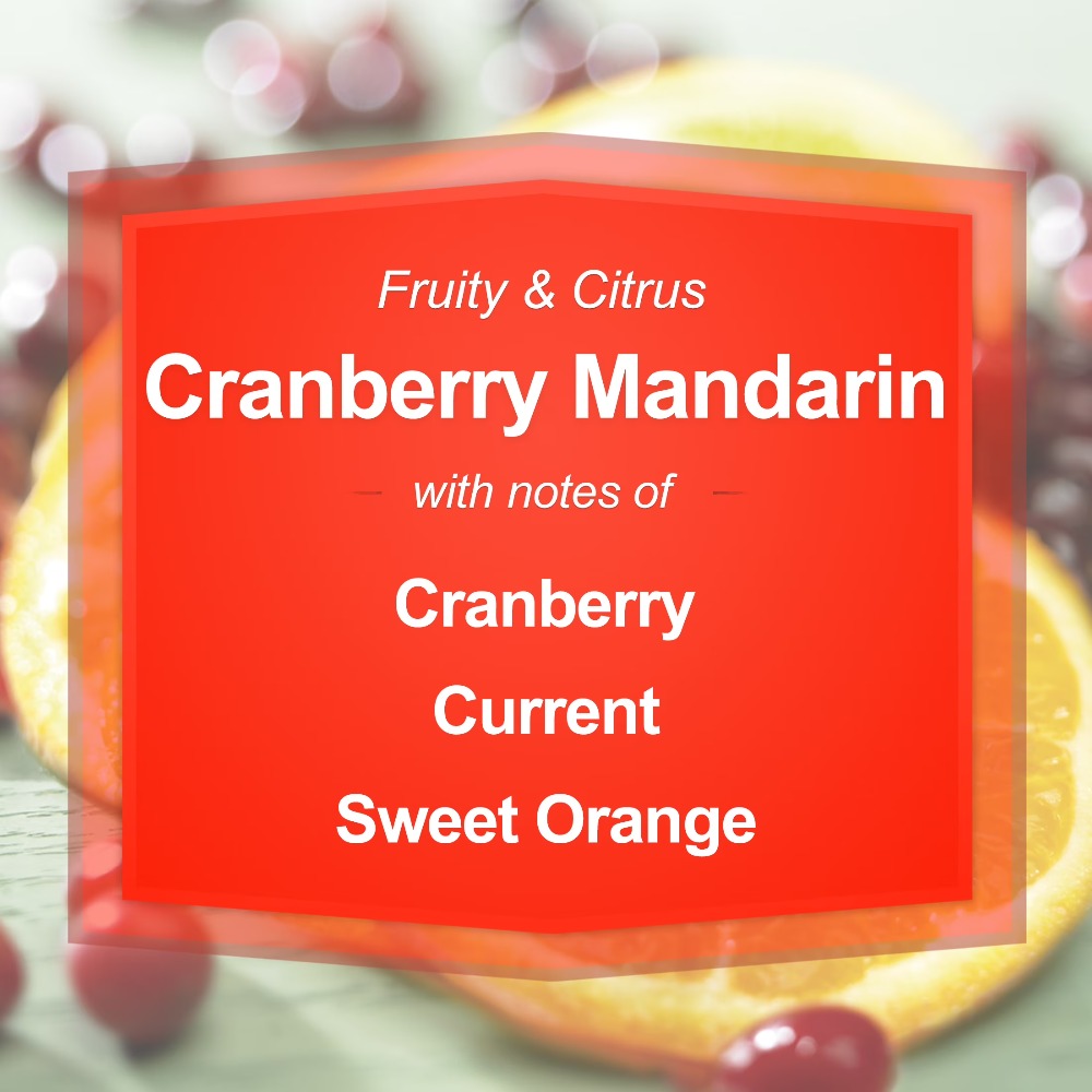 Cranberry-Mandarin Duftkerze i – Fragrance In Home Bewertung und Preis