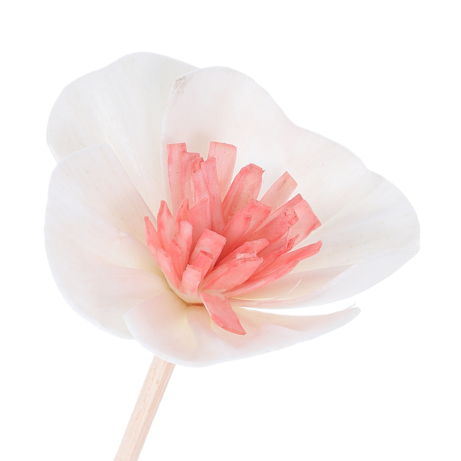 10 Stück Diffusorstäbchen für  – Home Fragrance And Diffuser Bewertung und Preis