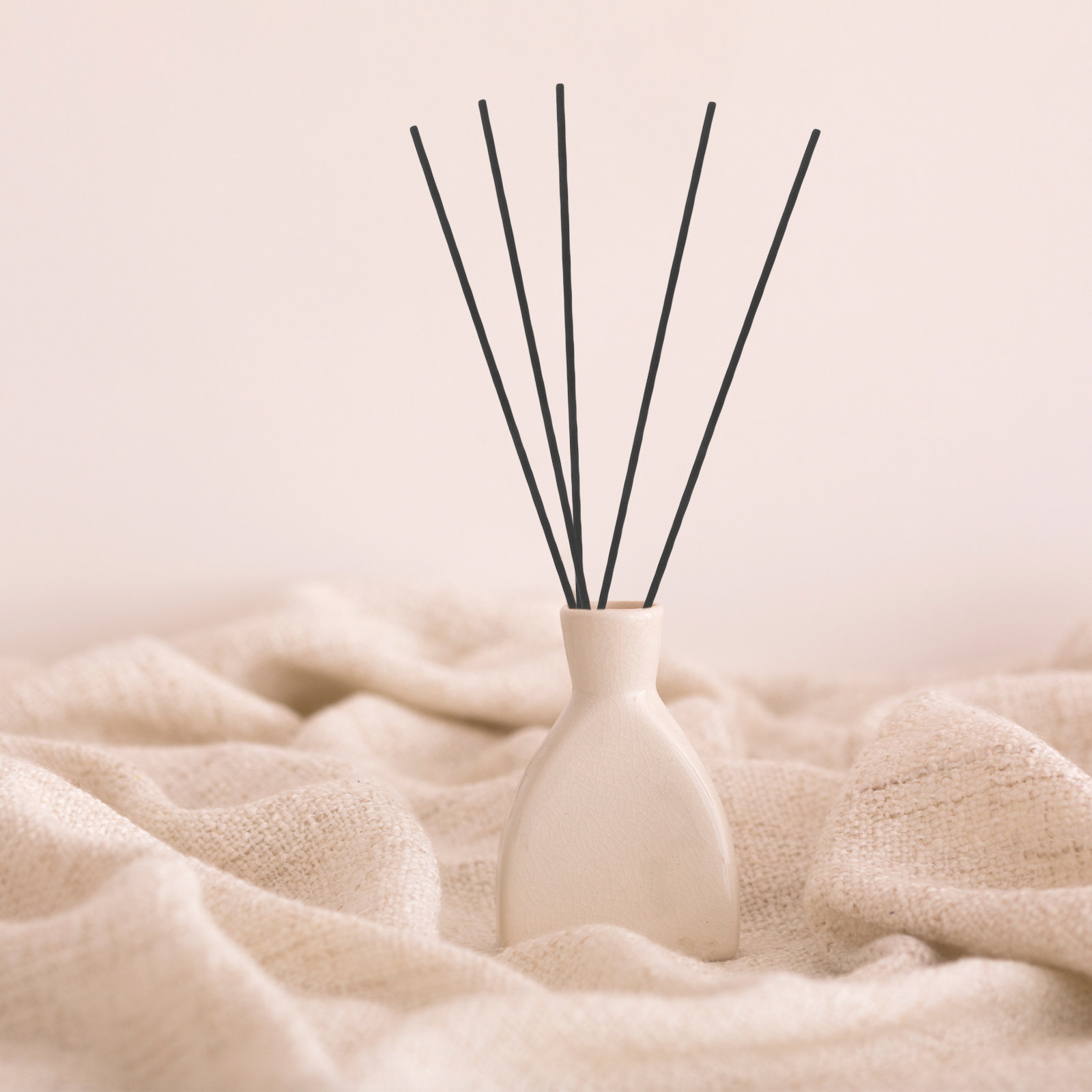 100 Stück Faser-Duftdiffusor-S – Home Fragrance And Diffuser Bewertung und Preis