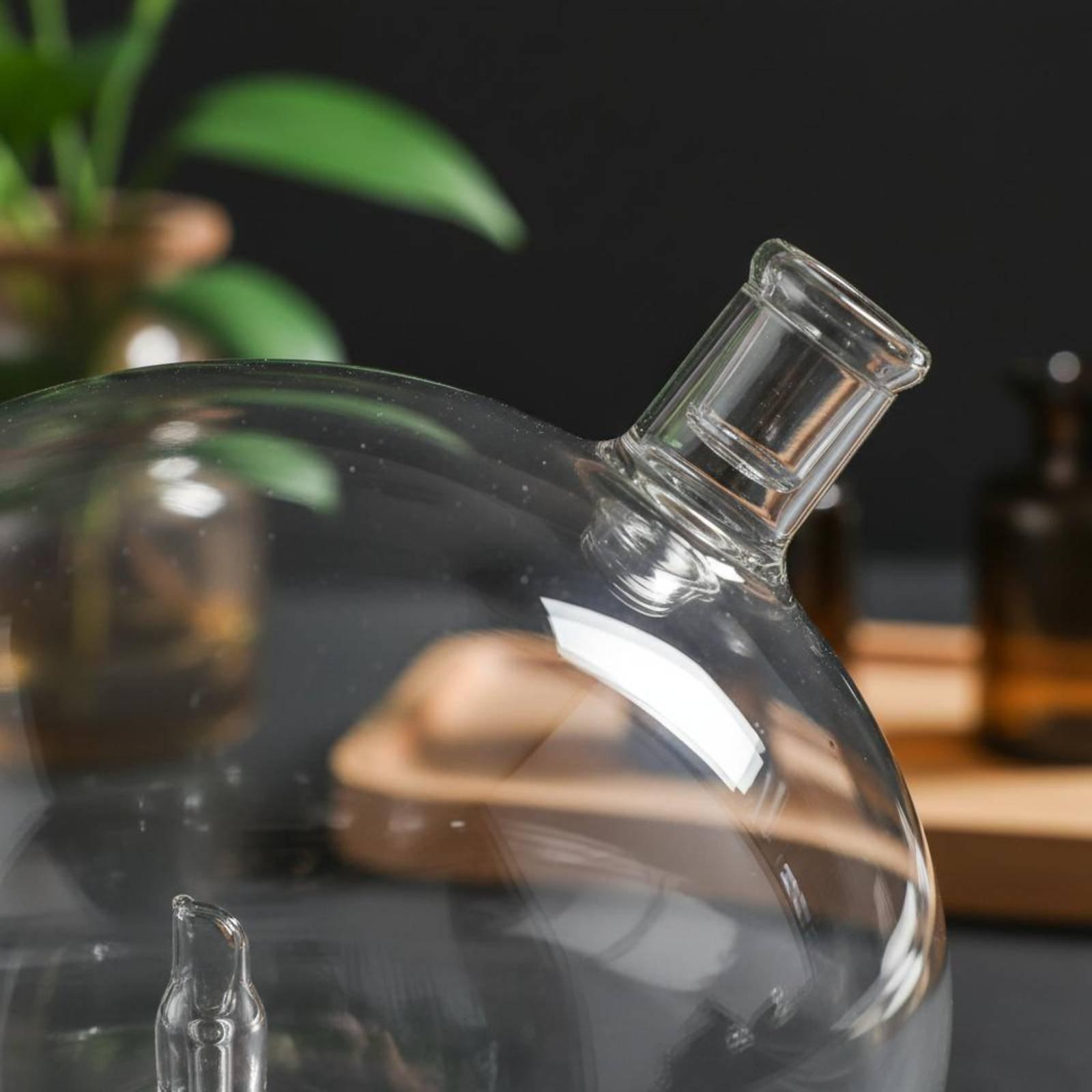 Diffusorflasche Universell Pas – Home Fragrance And Diffuser Bewertung und Preis